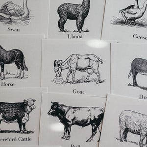 Fichas de animales de granja antiguos, educación en el hogar, recurso de aprendizaje, imprimible, estudio de ciencias naturales, descarga digital, 23 fichas