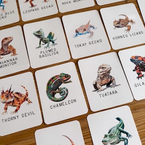 Fichas de especies de reptiles, educación en el hogar, recurso de aprendizaje, imprimible, estudio de ciencias naturales, descarga digital instantánea