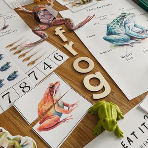 May include: A set of educational materials for learning about frogs. The set includes a frog anatomy chart, a frog life cycle chart, a frog puzzle, and a set of wooden letters spelling out the word "frog".