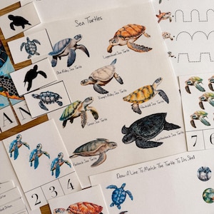 Sea Turtles Unit Study, homeschool, learning resource, printable, nature science study, pdf instant digital download 87 Page PDF!