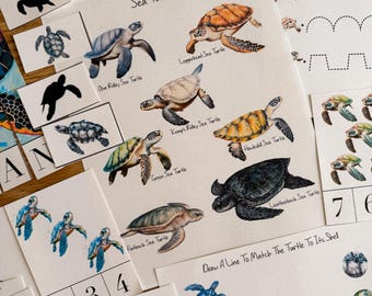 Sea Turtles Unit Study, homeschool, learning resource, printable, nature science study, pdf instant digital download 87 Page PDF!