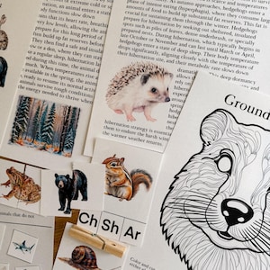 Hibernation/Winter Sleep Unit Study, 107 Page PDF, morning basket, homeschool, learning resource,  nature science study, digital download