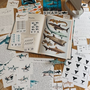 Estudio de unidad sobre tiburones, educación en el hogar, recurso de aprendizaje, imprimible, estudio de ciencias de la naturaleza, descarga digital instantánea en formato PDF de 72 páginas.