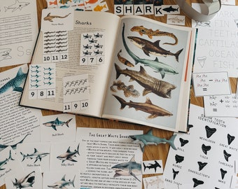 Shark Unit Study, homeschool, learning resource, printable, nature science study, pdf instant digital download 72 Page PDF!