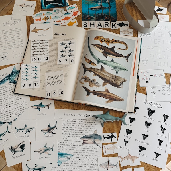 Shark Unit Study, homeschool, learning resource, printable, nature science study, pdf instant digital download 72 Page PDF!