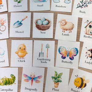 Spring Flashcards, morning basket, homeschool, learning resource, printable, nature science study, pdf instant digital download