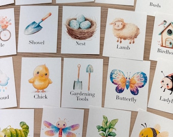 Spring Flashcards, morning basket, homeschool, learning resource, printable, nature science study, pdf instant digital download