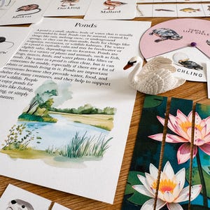 Pond Life Unit Study, homeschool, learning resource, printable, nature science study, pdf instant digital download 113 Page PDF!