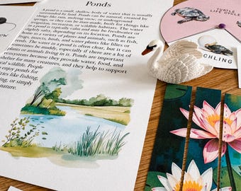 Pond Life Unit Study, homeschool, learning resource, printable, nature science study, pdf instant digital download 113 Page PDF!