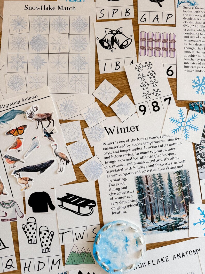 Peut inclure: Un ensemble de mat&eacute;riel p&eacute;dagogique sur le th&egrave;me de l'hiver, comprenant un jeu d'association de flocons de neige, des cartes avec des flocons de neige et des illustrations d'activit&eacute;s hivernales. L'image contient &eacute;galement du texte sur l'hiver et les animaux migrateurs.