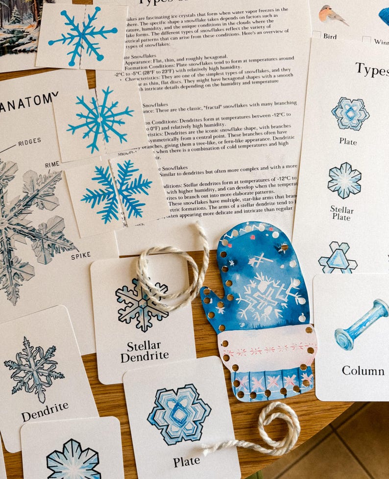 Peut inclure: Ensemble de cartes &eacute;ducatives et un ornement bleu en forme de mitaine avec des illustrations de flocons de neige. Les cartes pr&eacute;sentent diff&eacute;rents types de flocons de neige, comme "Plate" et "Stellar Dendrite", avec du texte descriptif. Une ficelle blanche est enroul&eacute;e autour des cartes.