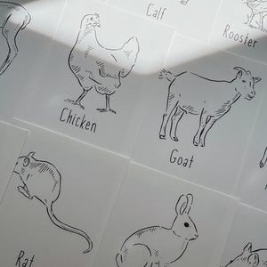 Colorea tus propias tarjetas didácticas de animales de granja, educación en el hogar, recurso de aprendizaje, imprimible, estudio de ciencias naturales, descarga digital, 26 tarjetas didácticas