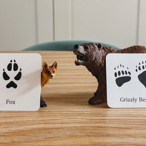 Może przedstawiać: Dwie białe karty z czarnymi odciskami łap zwierząt i nazwami "Fox" i "Grizzly Bear" wydrukowanymi poniżej. Mała brązowa figurka lisa stoi za kartą z odciskiem łapy lisa. Brązowa figurka niedźwiedzia grizzly stoi za kartą z odciskami łap niedźwiedzia.