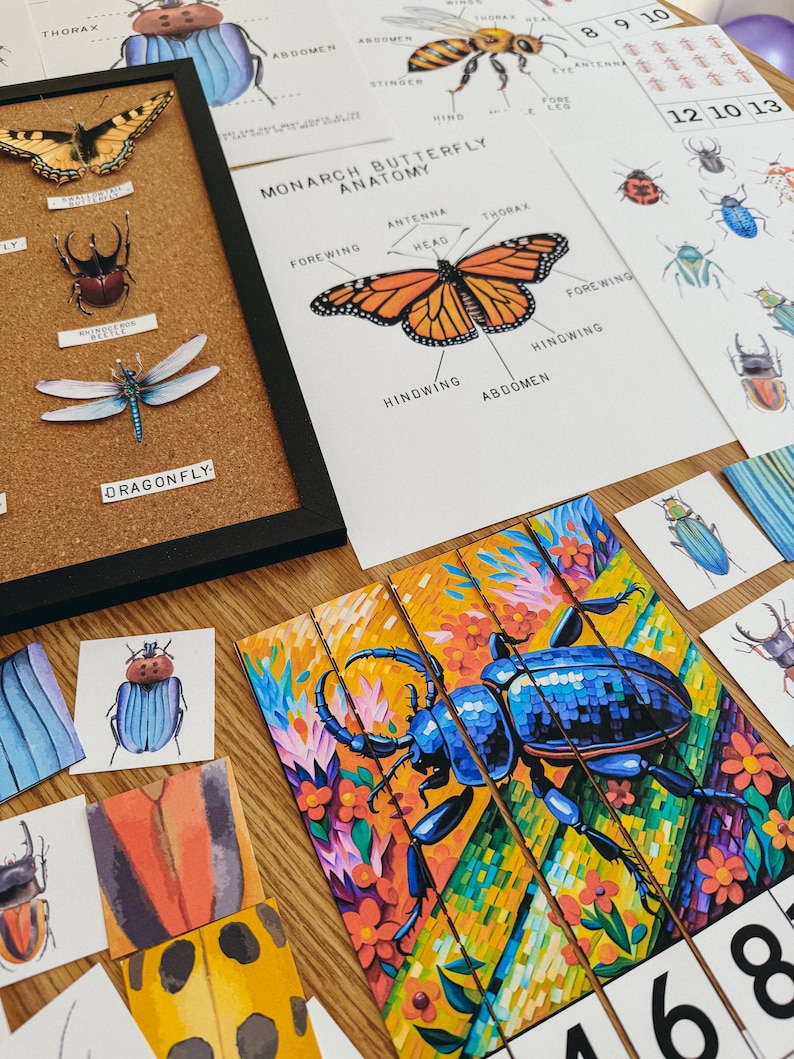 Może przedstawiać: Zestaw kolorowych ilustracji owad&oacute;w, w tym motyla monarchy, ważki i chrząszczy. Ilustracje znajdują się na korkowej tablicy z napisami "Anatomia motyla monarchy" i "Ważka" poniżej. Są też karty z numerami i ilustracjami owad&oacute;w.