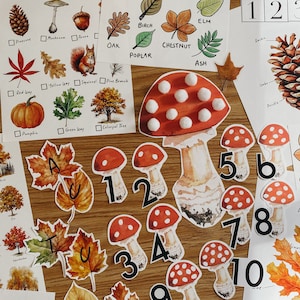 Studio dell&#39;unità autunnale, PDF da 63 pagine, cestino del mattino, istruzione parentale, risorsa di apprendimento, stampabile, studio delle scienze della natura, download digitale