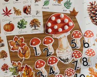 Autumn/Fall Unit Study, 63 Page PDF, morning basket, homeschool, learning resource, printable, nature science study, digital download