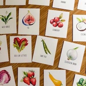 Tarjetas didácticas de frutas y verduras, educación en el hogar, recurso de aprendizaje, imprimible, estudio de ciencias naturales, descarga digital, 90 tarjetas didácticas