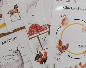 Farm Animals Unit Study, MEGA 191 Page PDF, morning basket, homeschool, learning resource, printable, nature science study, instant download