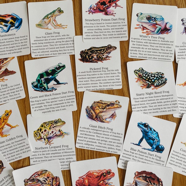 Frog Species Flashcards, morning basket, homeschool, learning resource, printable, nature science study, pdf instant digital download