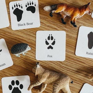 Mini cartes mémoire Animal Track, panier du matin, école à la maison, ressource d'apprentissage, imprimable, étude des sciences de la nature, téléchargement numérique instantané