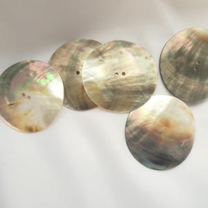 5 x Große runde Muschelknöpfe, Gewellte, schillernde große Knöpfe im Muschelstil, Nähknöpfe, Runde Kleidungsknöpfe in Beige-Elfenbeinschale