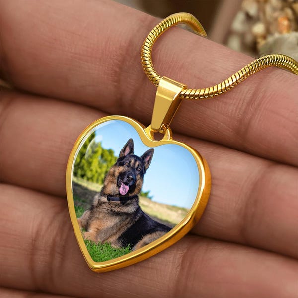 Pet Memorial Gift, Pet Picture Necklace Dog Memorial Gift, Pet Heart Shaped Jewelry, Pet lover gift, Dog Mom Necklace, Custom Pet Jewelry
