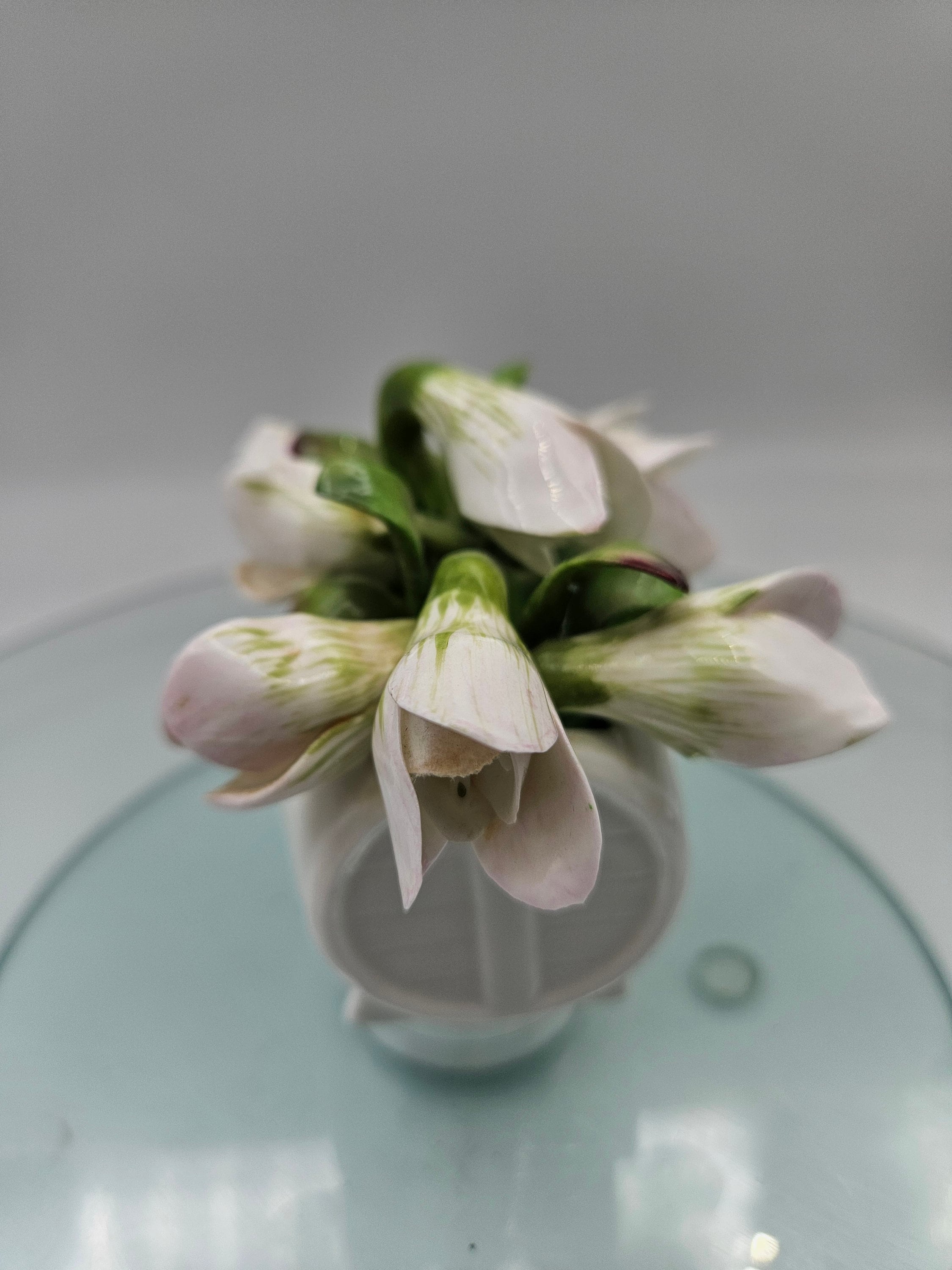 Aynsley January Snowdrop Fine Bone China Barrel Flowers Hand