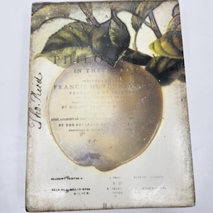 Könnte beinhalten: Antiker Buchumschlag mit einer Apfel- und Blätterillustration, betitelt "Philosophie in Three". Der Umschlag hat ein gealtertes, abgenutztes Aussehen mit sichtbarem Text und einem Vintage-Stil.
