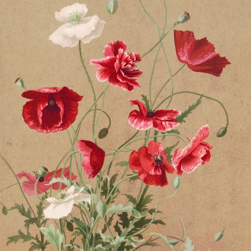 ヴィンテージ アンバー エンポリ ジーニー ボトル デキャンタ