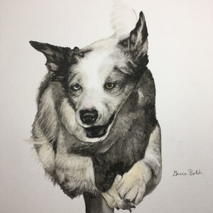 Pet Portraits — I&#39;ll draw your pets with pencils