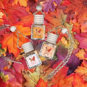 Diffuseur automne-hiver pour voiture | Diffuseur suspendu pour voiture | Désodorisant pour voiture | Diffuseur suspendu parfumé pour voiture | Désodorisant pour voiture |  8 ml