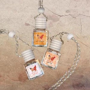 Diffuseur parfumé pour voiture pour hôtel | Diffuseur suspendu pour voiture | Désodorisant pour voiture | Diffuseur suspendu parfumé pour voiture | Désodorisant pour voiture |  8 ml