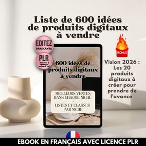 Lijst met 600 ideeën voor de beste digitale producten om te verkopen. E-book in het Frans | PLR-product | Ideeën voor passief inkomen, gecategoriseerd per winstgevende niche.