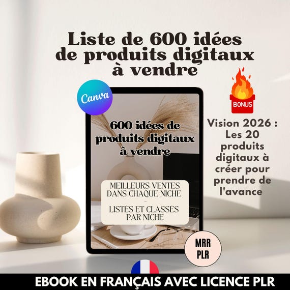 Liste 500 idées des meilleurs produits digitaux à vendre. Ebook en français | Produit PLR | Idées revenus passifs classés par niche rentable