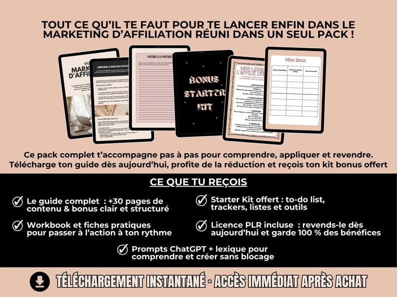 Visuel de conclusion : réduction de –75 %, téléchargement instantané du guide marketing d’affiliation PLR français avec bonus offert.
