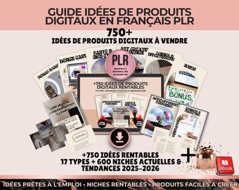 Digital Product Ideas in French PLR | 750+ Bestselling Product Ideas for Passive Income | Easy Niches for Beginners