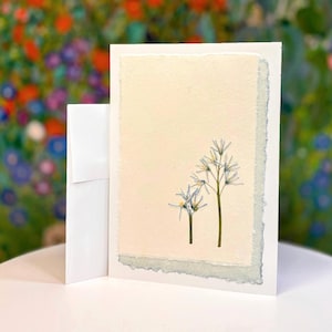REAL flowers | Distinctive handmade greeting card with GENUINE dried botanicals | Frame for a lasting very special gift
