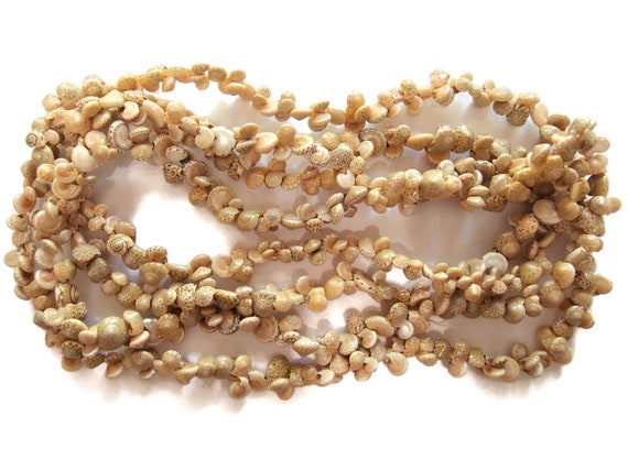 Two Sea Shell Necklaces View 2