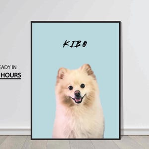 Pet Portrait Commission | Hand-Drawn Custom Dog, Cat, or Horse Art | Personalized Pet Memorial Gift | Pet Lover Art