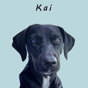 Funny Custom Pet Portrait | Dog or Cat Cartoon Art | Personalized Pet Lover Gift | Unique Dog Mom and Cat Dad Present