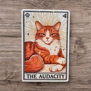 May include: A rectangular tarot card featuring a tabby cat with orange and white fur, reclining with a confident expression. The card has a cream-colored background with gold starburst rays and the text "THE AUDACITY" at the bottom.