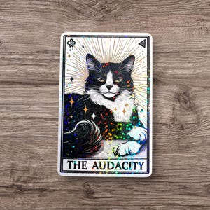 May include: A black and white cat with green eyes sits on a white background with a rainbow glitter effect. The card reads "The Audacity".