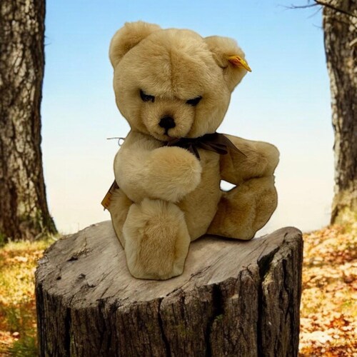 Peluche vintage Steiff ours en peluche KNOPF IM OHR avec toutes les étiquettes fabriquée en Allemagne