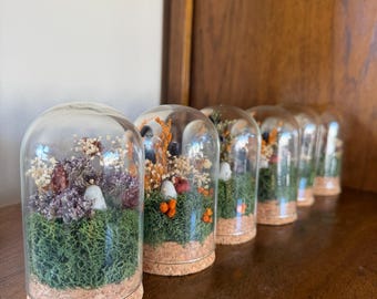 May include: A row of six glass cloches with cork bases, each containing a miniature arrangement of green moss, dried flowers in shades of purple, orange, and white, and a small white mushroom-shaped figure inside the clear dome.