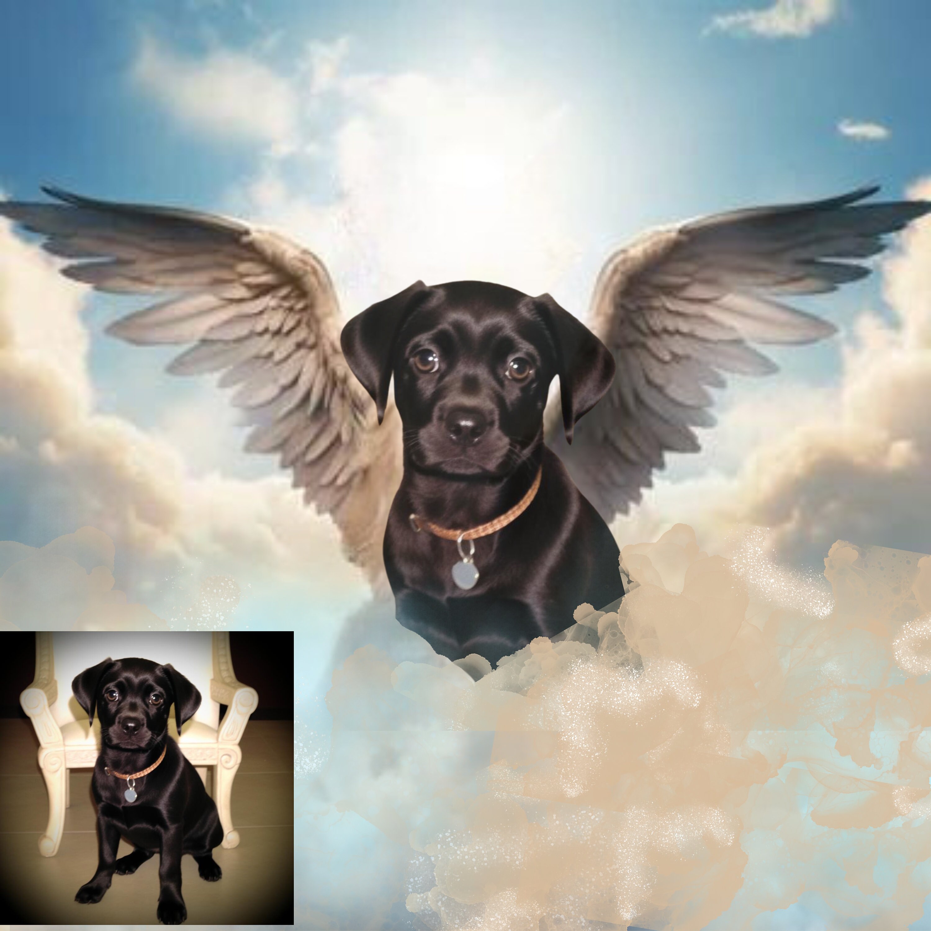 Custom Pet Loss Memorial Portrait With Angel Wings Picture Customized ...