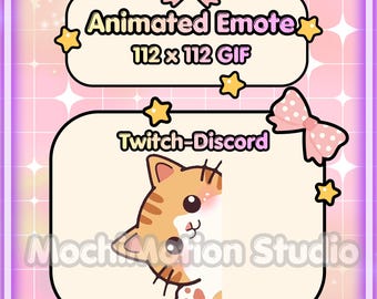 Animated Emote Orange Cat Hello -Twitch-Discord-Transparent GIF-Ready to use-Streaming-Cute-Kawaii-HQ-Heart-Love-Digital Art.