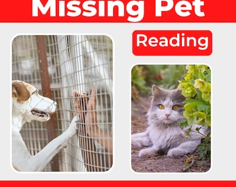 MISSING PETS Pet Psychic Reading for Missing Lost Pets Where Is My Pet Living or Passed Animal Communicator Same Day