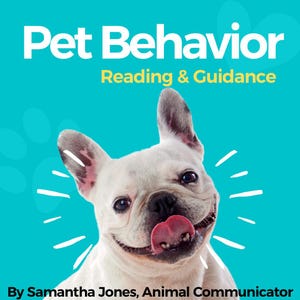 Puede incluir: Un bulldog francés blanco con la lengua fuera, con aspecto feliz. El texto "Pet Behavior Reading & Guidance" está en la parte superior de la imagen, y el texto "By Samantha Jones, Animal Communicator" está en la parte inferior.