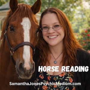 Psychic Horse Reading.  Animal Communication reading to talk with your horse. Same day available. Digital download.