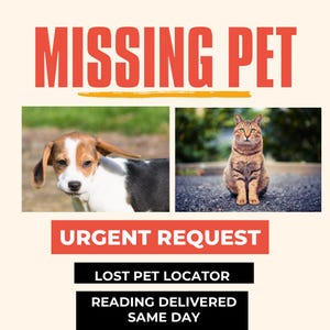 Pedido urgente ANIMAIS DE ESTIMAÇÃO DESAPARECIDOS Localizador de animais de estimação perdidos Leitura psíquica de animais de estimação para animais de estimação perdidos. Onde está meu animal de estimação, morando ou falecido, encontre, localize o animal de estimação